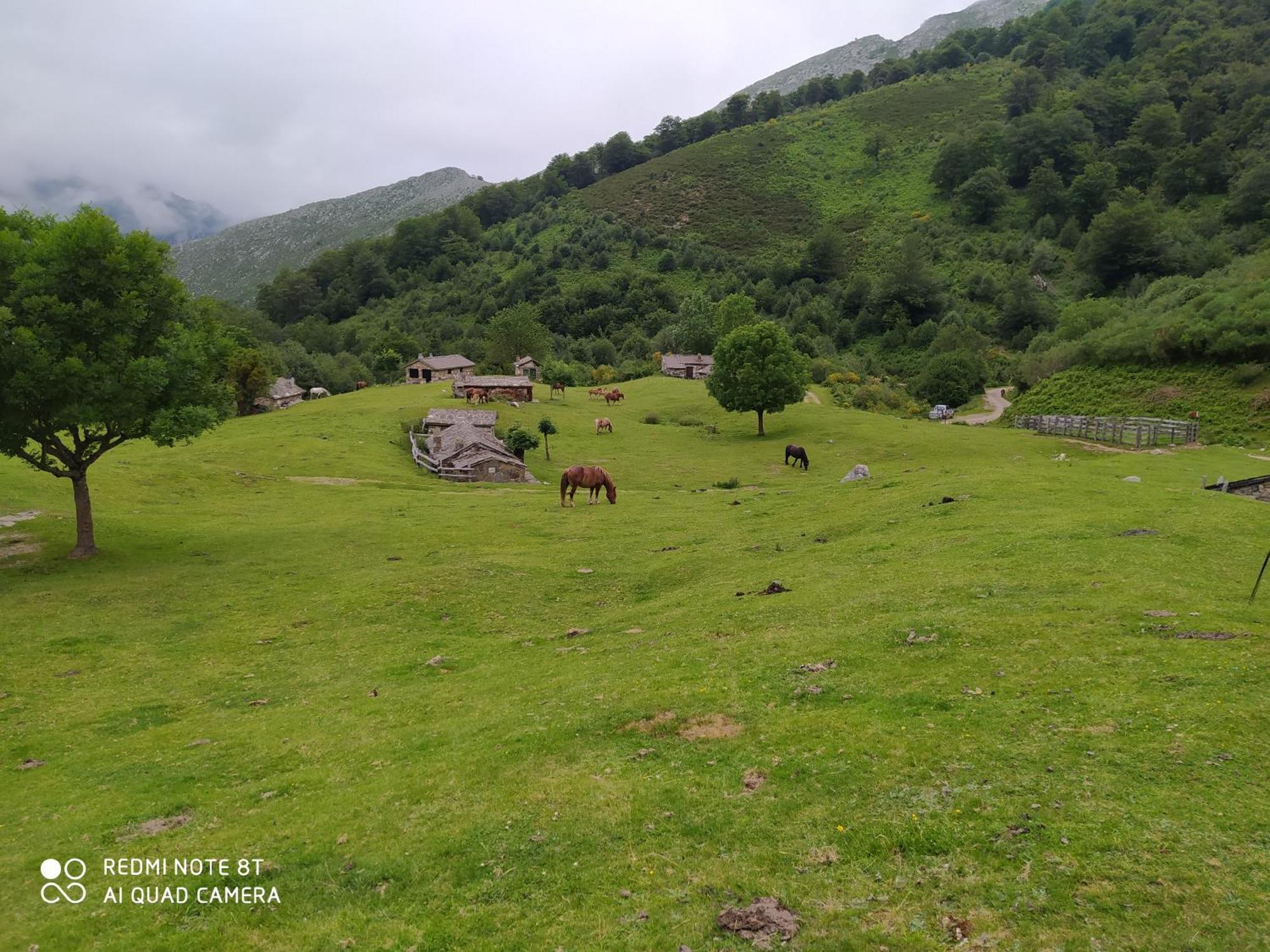 Appartamento Domus Redes Pola de Laviana Esterno foto